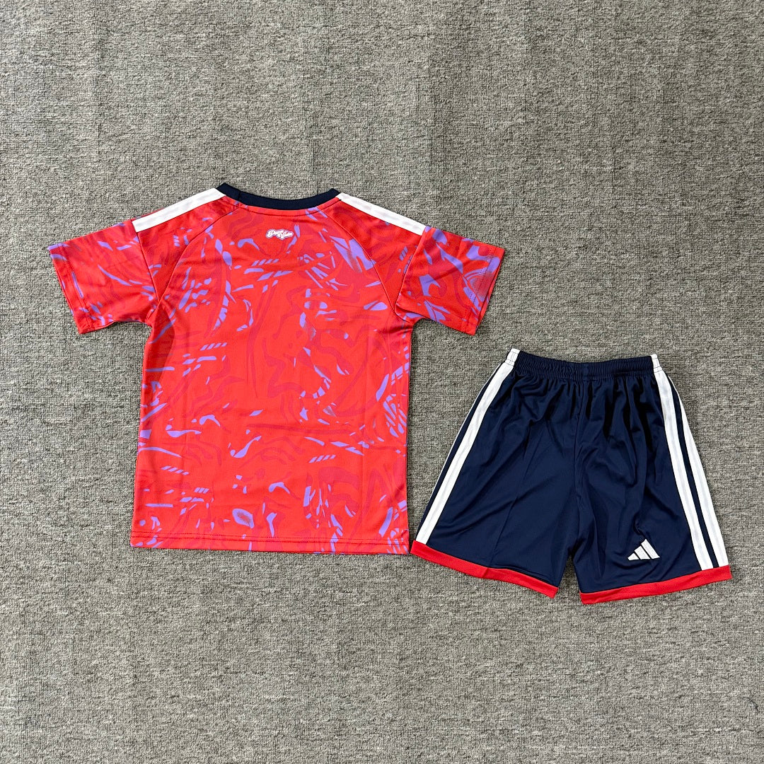 Costa Rica 2026/27 Home Kids Football Kit Kids Version - Back
