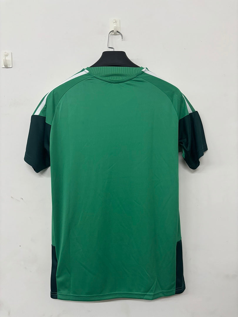 Algeria Green Short-Sleeve Training Kit 2026/27 - view 4