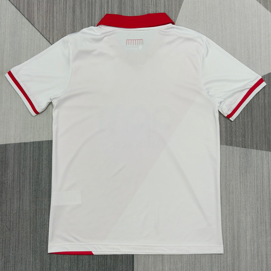 Morocco 2026/27 Home Fan Version Jersey - Back
