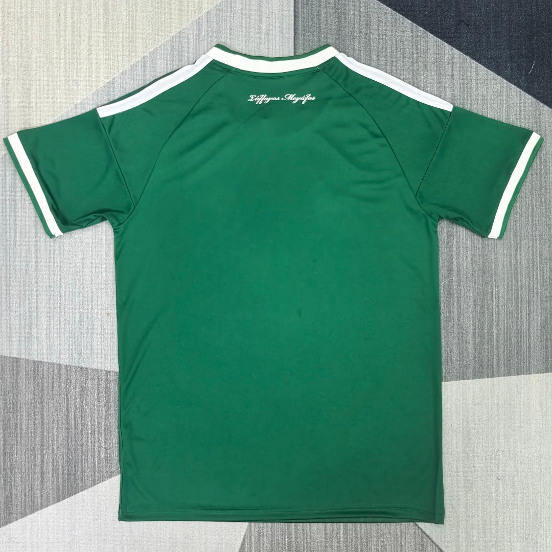 Panathinaikos 2026/27 Home Fan Version Jersey - Back