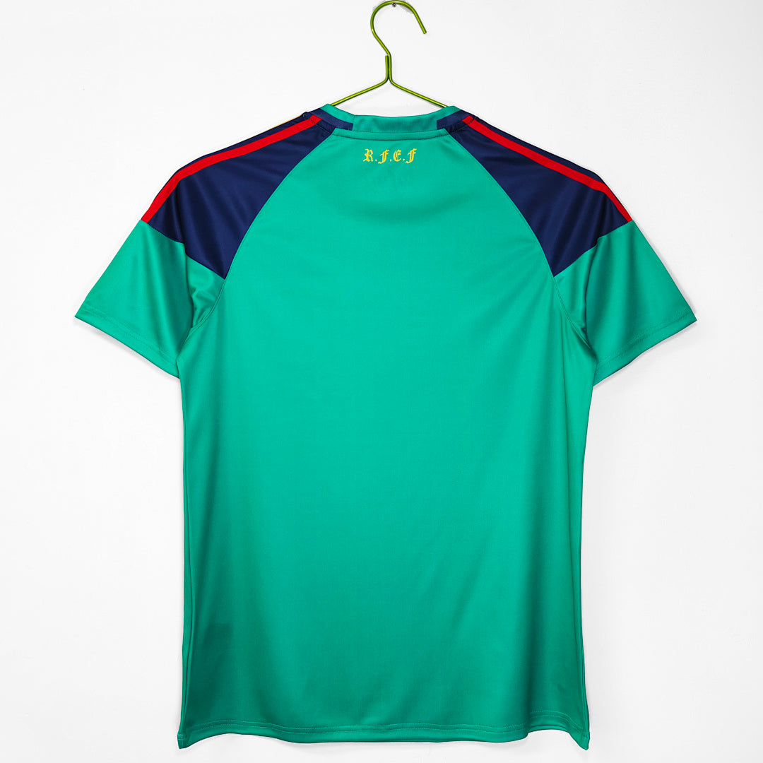 Spain 2010 Green Goalkeeper Retro Jersey - Back